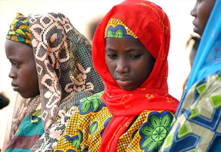 nevandoenlaguinea@hotmail.com