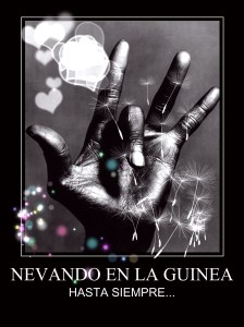 Made with Repix (http://repix.it)